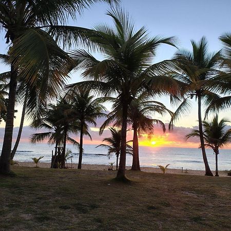 Pousada Tropicalia Tranquilidade A Beira Mar サンタ・クルース・カブラーリア エクステリア 写真