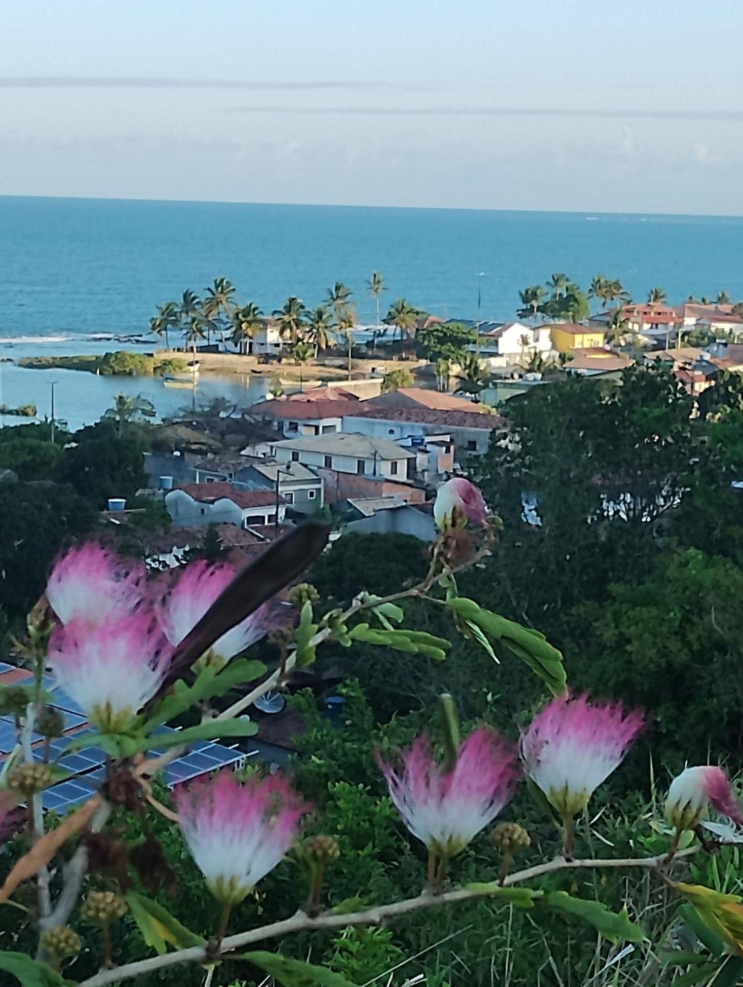 Pousada Tropicalia Tranquilidade A Beira Mar サンタ・クルース・カブラーリア エクステリア 写真