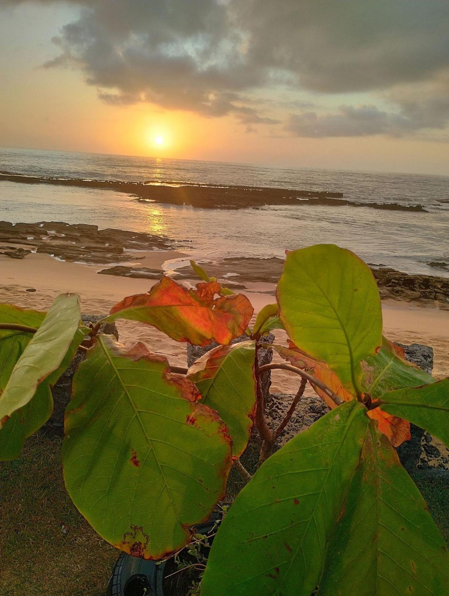 Pousada Tropicalia Tranquilidade A Beira Mar サンタ・クルース・カブラーリア エクステリア 写真