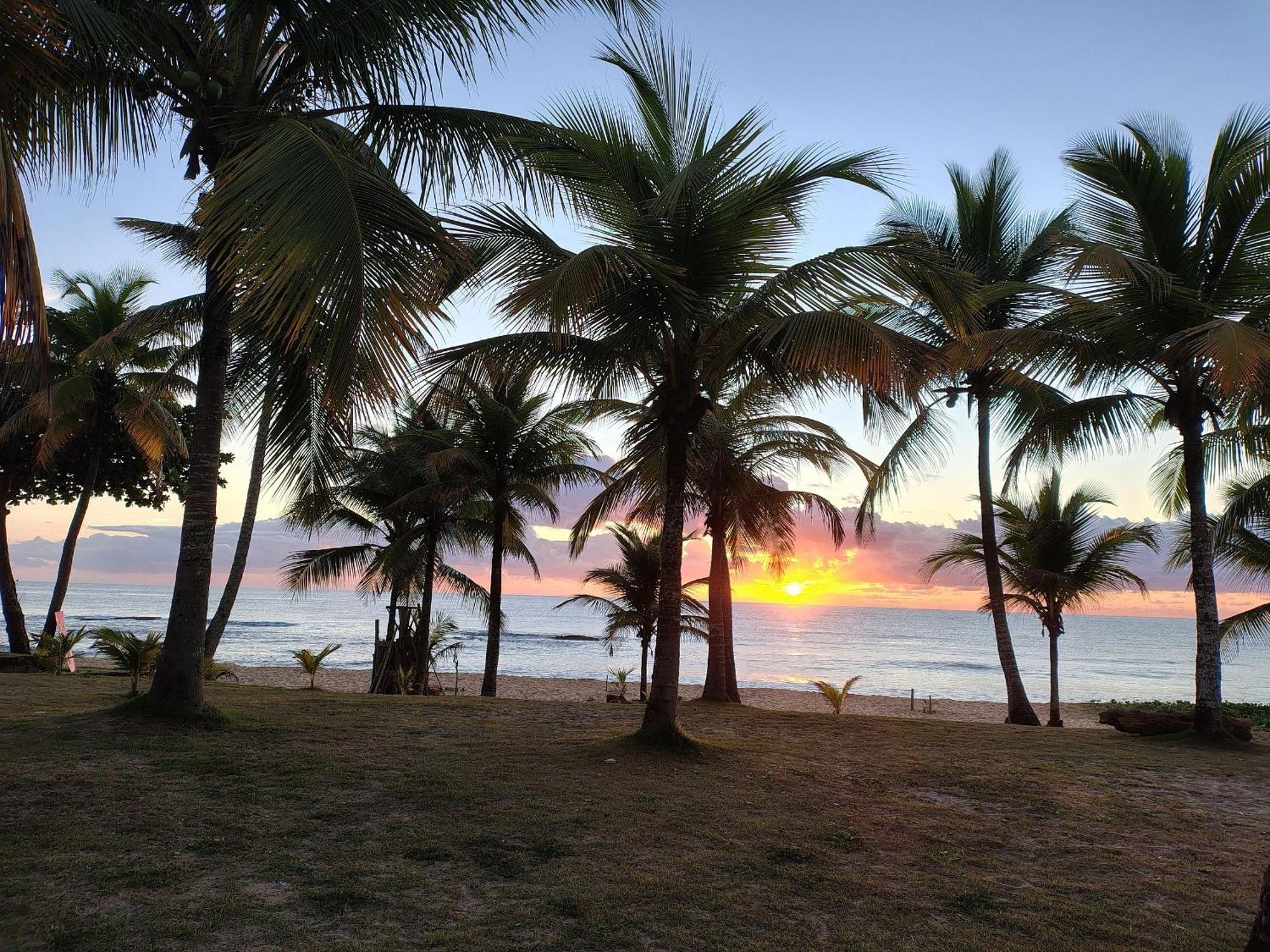 Pousada Tropicalia Tranquilidade A Beira Mar サンタ・クルース・カブラーリア エクステリア 写真